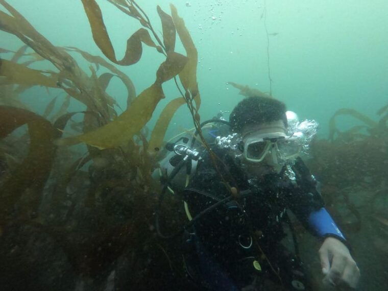 lima-padi-open-water-diver-diving-course
