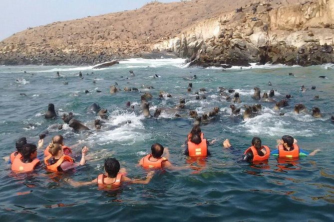 lima-palomino-islands-excursion-swimming-with-sea-lions-with-hotel-transfers