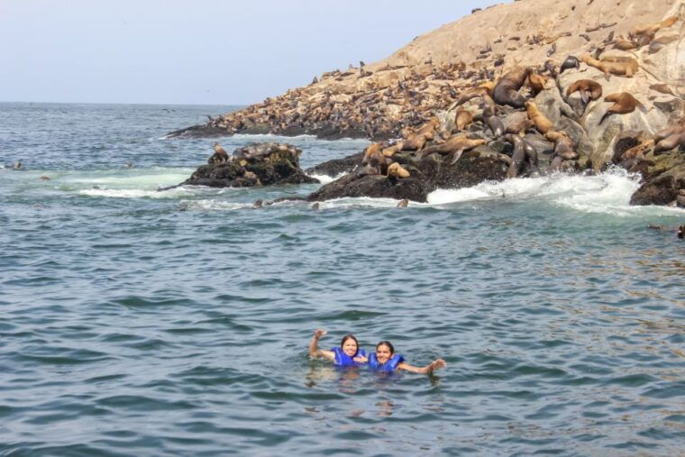 lima-palomino-islands-speedboat-tour-swim-with-sea-lions
