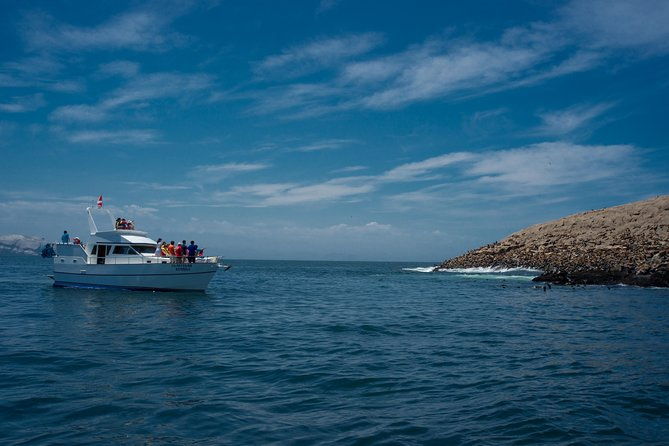 lima-palomino-islands-swim-with-sea-lions-in-the-pacific-ocean