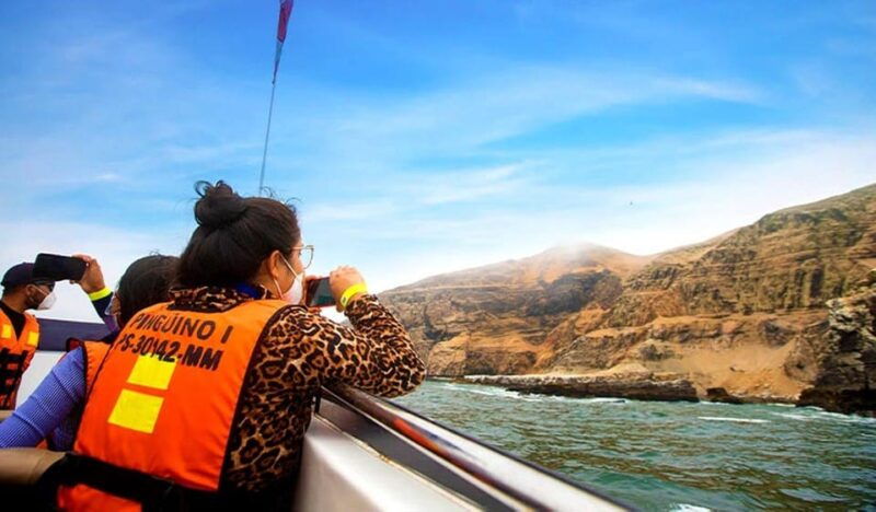 lima-palomino-islands-swim-with-the-sea-lions