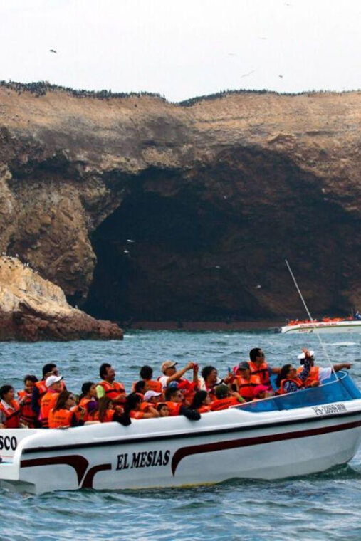 lima-palomino-islands-swim-with-the-sea-lions