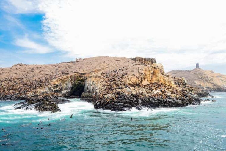lima-palomino-islands-swim-with-the-sea-lions
