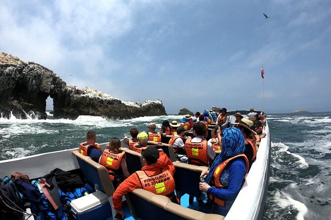 lima-peru-sea-lions-history-and-palomino-callao-islands