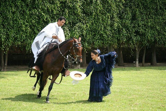 lima-premium-peruvian-horse-show-with-lunch-transfers