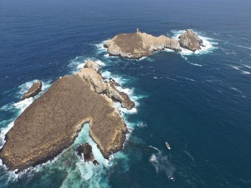 lima-visit-palomino-island-4-islands-of-callao-swim-with-sea-lions