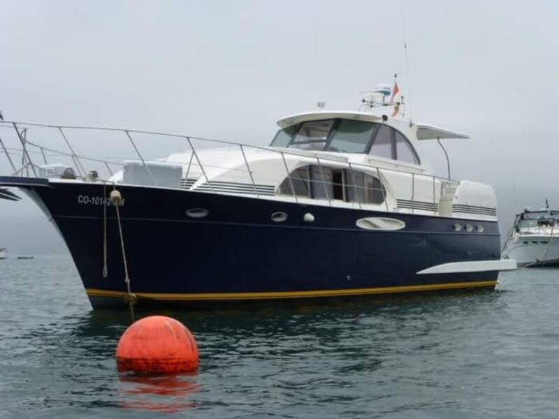 lima-visit-palomino-island-4-islands-of-callao-swim-with-sea-lions