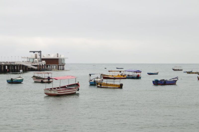 limas-food-tour-through-local-markets-barranco-visit