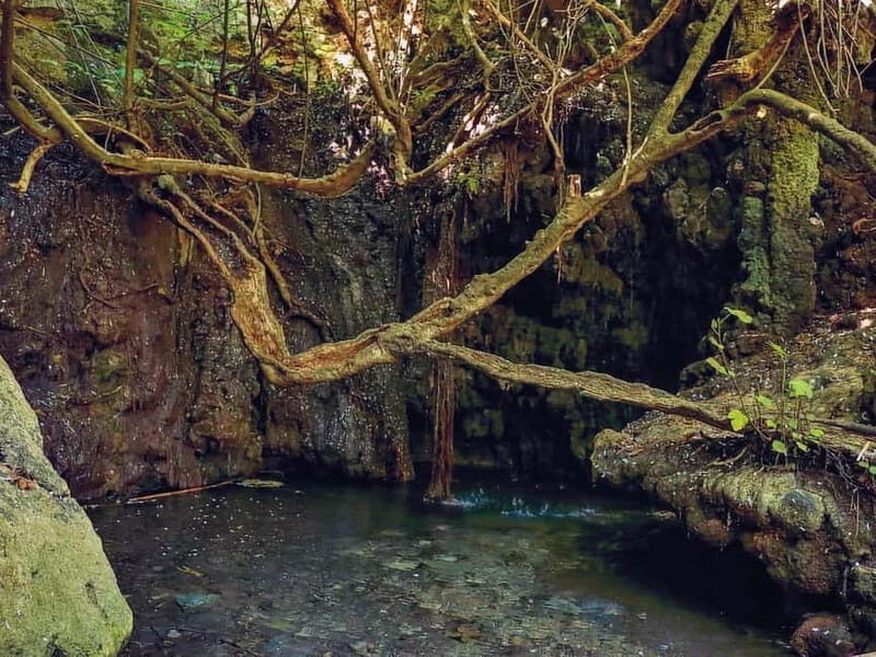 Limassol: Aphrodite Baths & Blue Lagoon Bus & Boat Day Tour - Who Would Love This Tour?