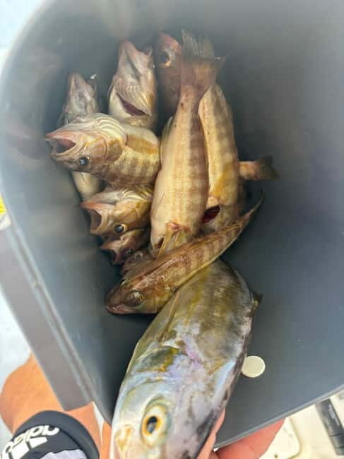 Limassol: Swimming trip with trolling or bottom fishing - Final Thoughts: Is It Worth It?