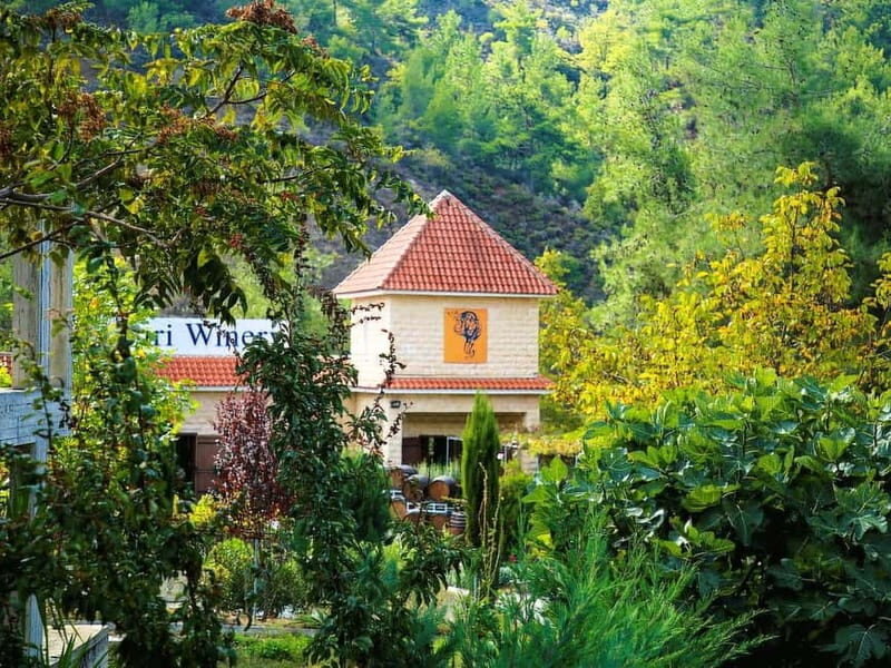 Limassol: Troodos, Kykkos Monastery, Omodos and Winery Tour - FAQs