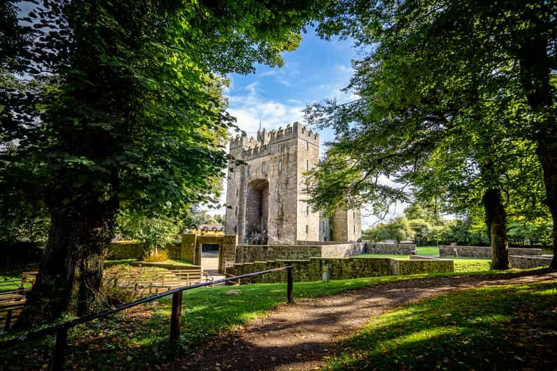 limerick-bunratty-castle-and-folk-park-day-visit