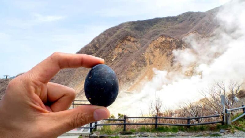 Limited: Mt. Fuji&Hakone, FREE Pirate Ship&Owakudani Ropeway - Final Thoughts