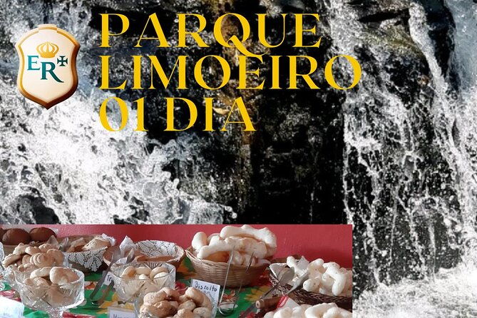 limoeiro-park-01-day