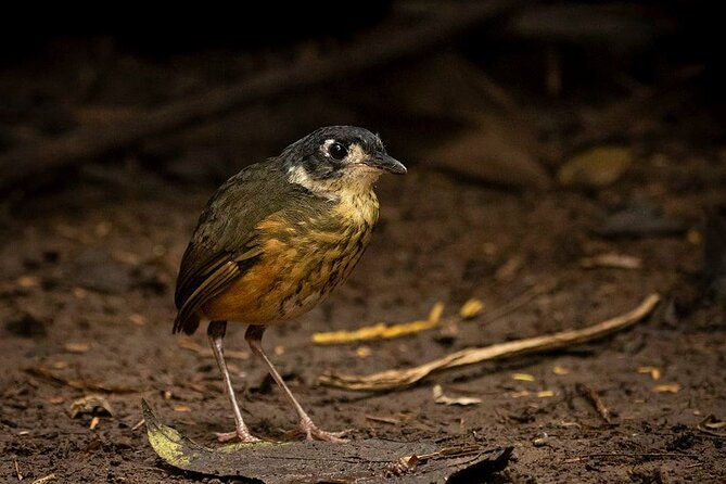 limoncocha-biological-reserve-yasuni-national-park-tropical-andes-to-amazon