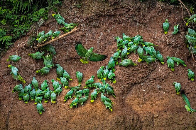 limoncocha-biological-reserve-yasuni-national-park-tropical-andes-to-amazon