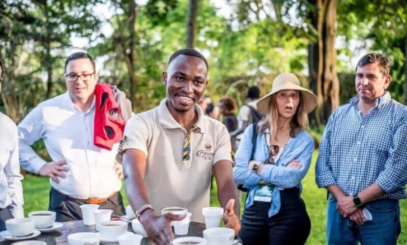 Limuru: Fairview Coffee Estate Guided Tour - An In-Depth Look at the Fairview Coffee Estate Guided Tour
