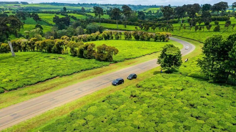 Limuru: Tea Farm Visit with Lunch - Practical Details and Tips