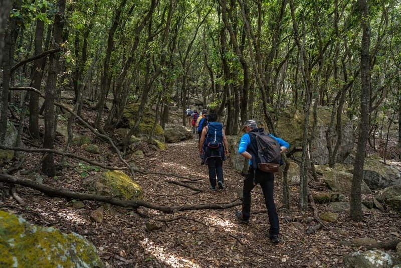 Linea isola di Zannone - Quick Overview