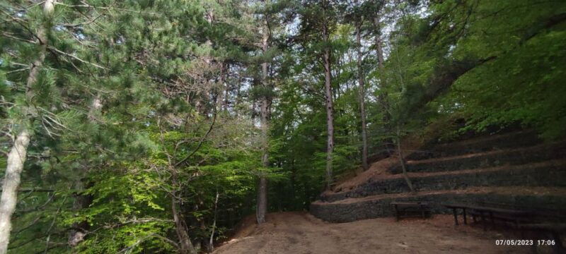 linguaglossa-north-etna-guided-forest-walking-tour