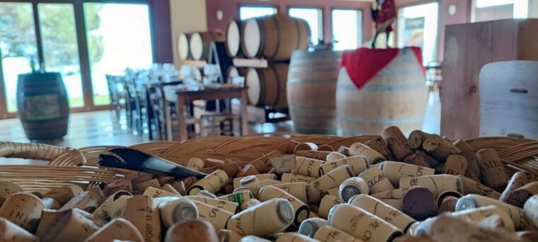 linguaglossa-turkish-spa-and-massage-with-wine-tasting