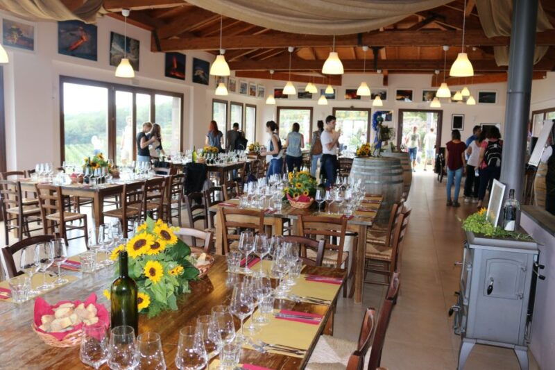 linguaglossa-wine-tasting-experience-at-etna-nord