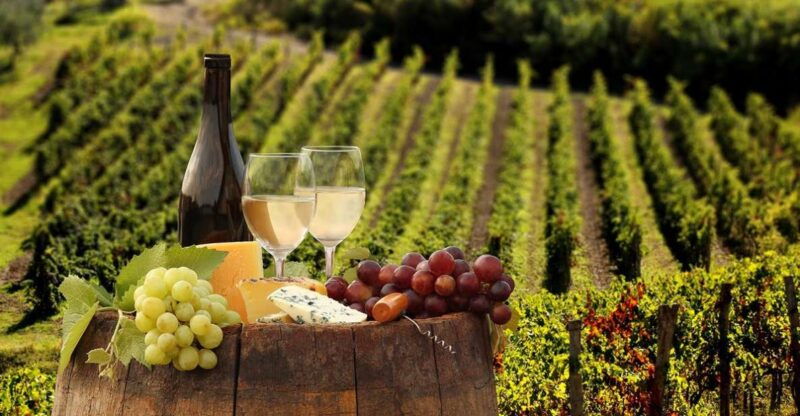 linguaglossa-wine-tasting-experience-at-etna-nord