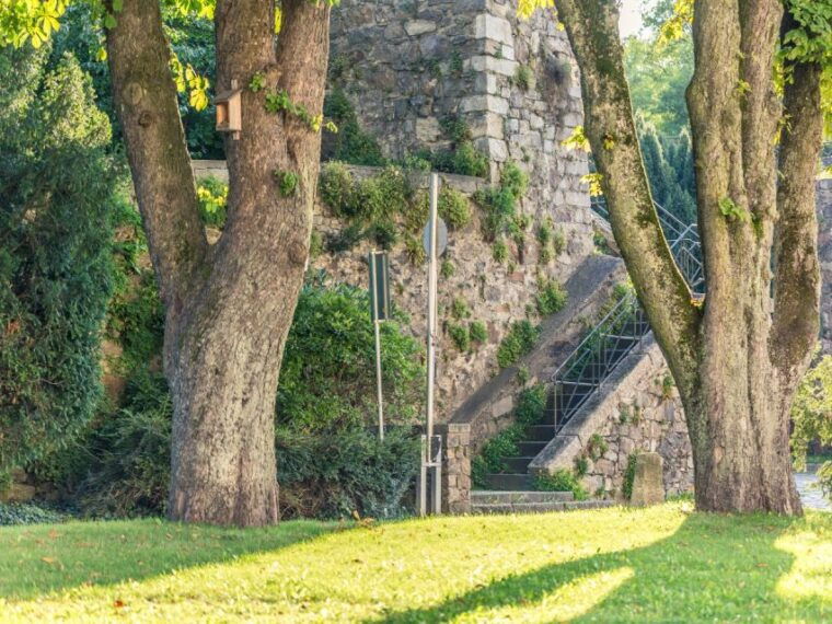 linz-old-town-highlights-walking-tour-with-postlingbergbahn