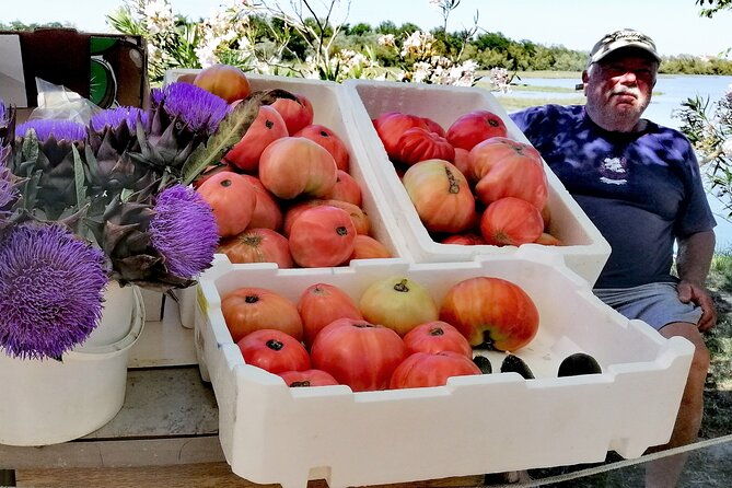 lio-piccolo-flamingos-birdwatching-bike-tour-in-the-lagoon