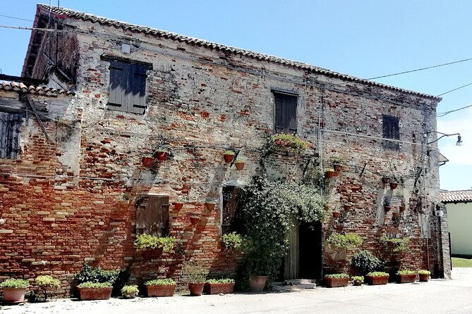 lio-piccolo-flamingos-birdwatching-bike-tour-in-the-lagoon