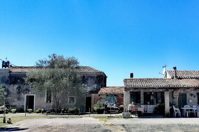 lio-piccolo-flamingos-birdwatching-bike-tour-in-the-lagoon