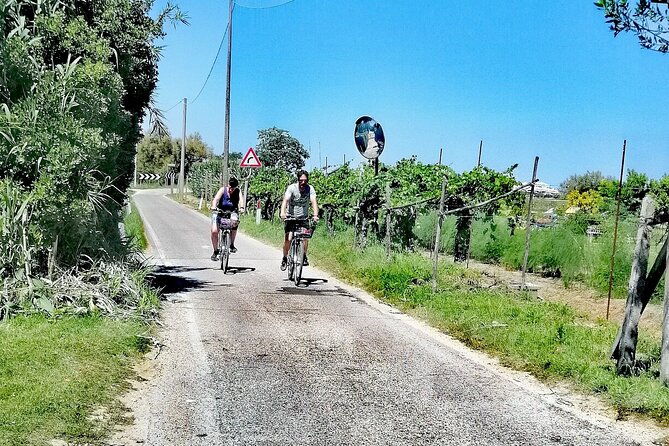 lio-piccolo-flamingos-birdwatching-bike-tour-in-the-lagoon