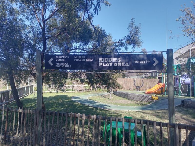Lion park - What to Expect from the Lion Park Guided Safari