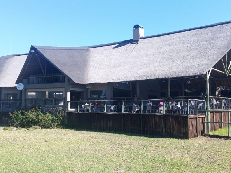 Lion park - Who Is This Tour Best For?
