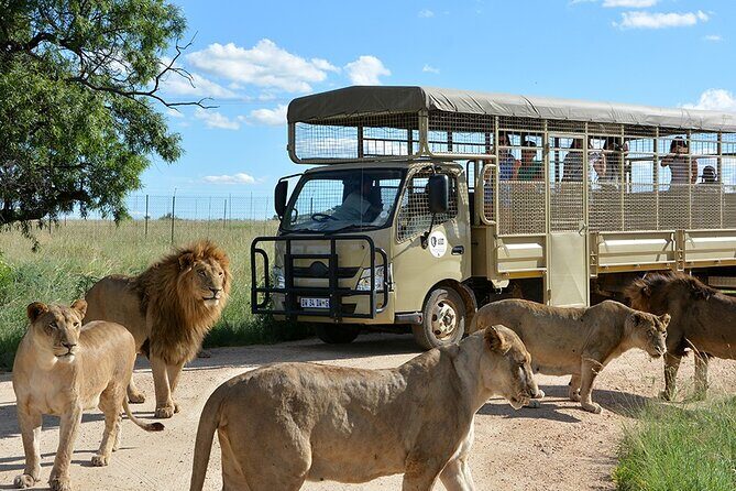 Lion & Safari Park - Who Should Book This Tour?