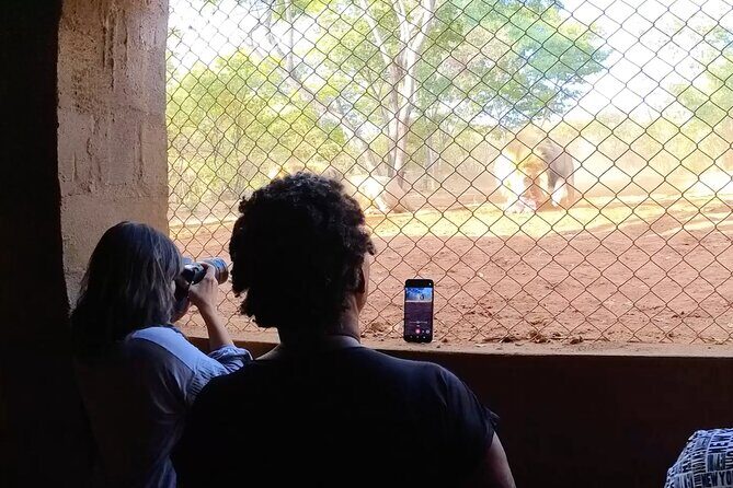 Lion & Wildlife Sanctuary Excursion Victoria Falls - Detailed Breakdown of the Tour Itinerary