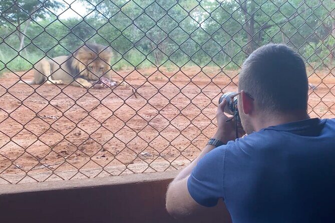 Lion & Wildlife Sanctuary Excursion Victoria Falls - Conservation and Supporting the Sanctuary