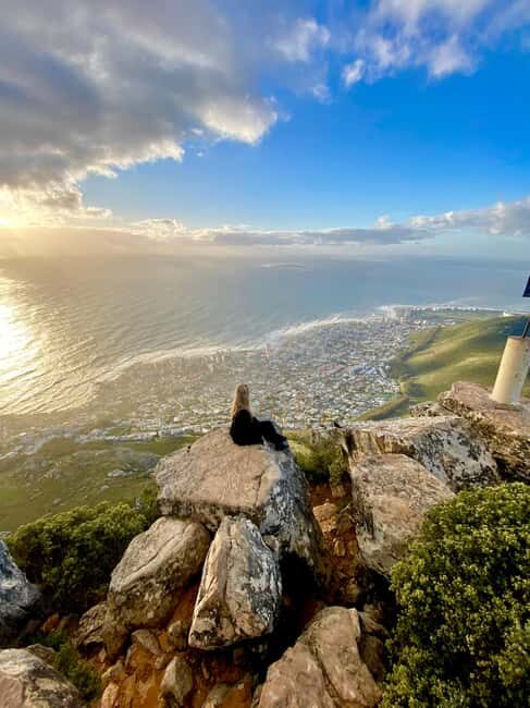 Lion's Head Hike: Cape Town - Sunrise or Sunset Hike - What to Expect from the Lion’s Head Hike
