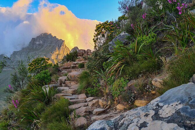Lions Head Hiking - What to Expect from the Lions Head Hike