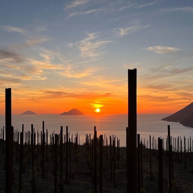 lipari-winery-pic-nic-in-the-vineyard