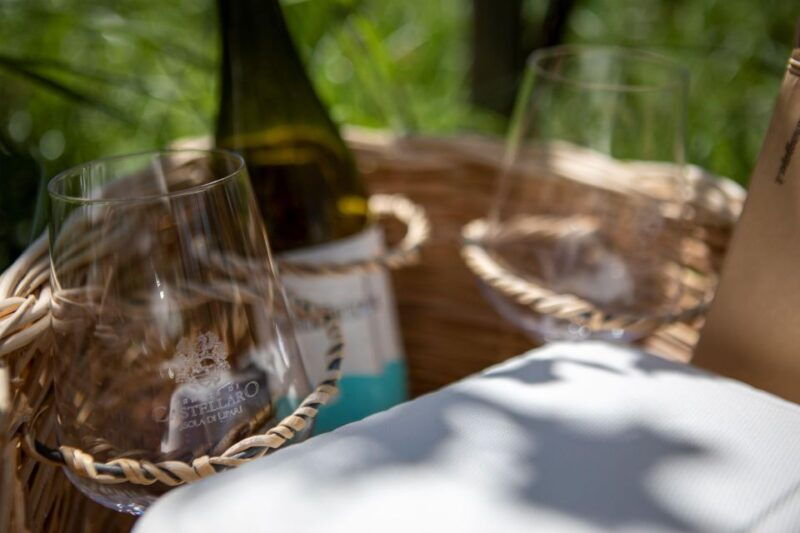 lipari-winery-pic-nic-in-the-vineyard