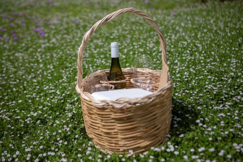 lipari-winery-pic-nic-in-the-vineyard