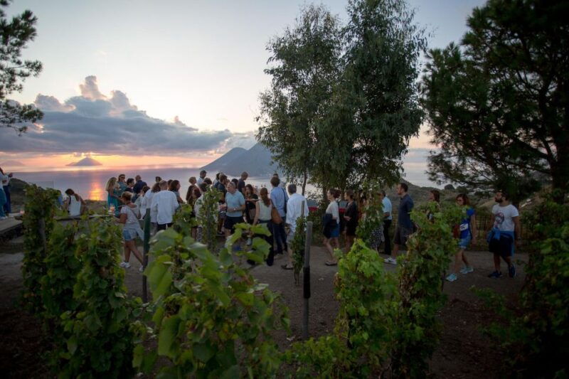 lipari-winery-sunset-wine-tasting