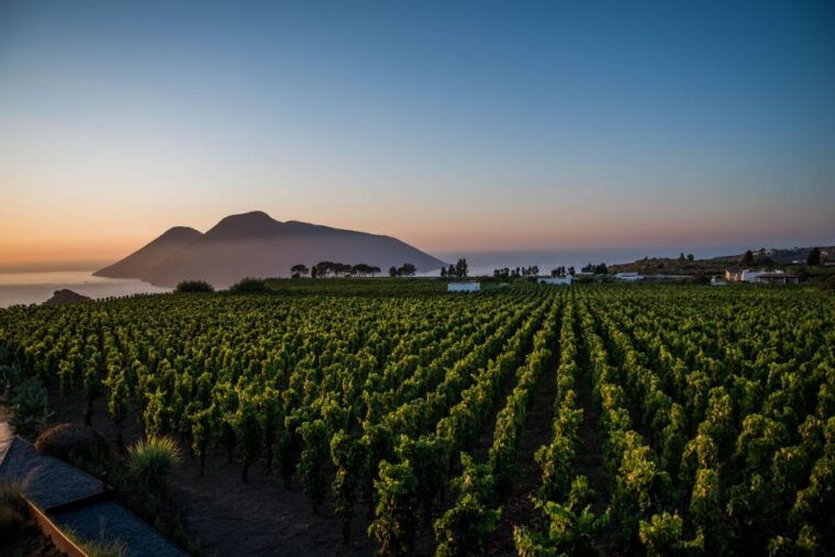 lipari-winery-sunset-wine-tasting