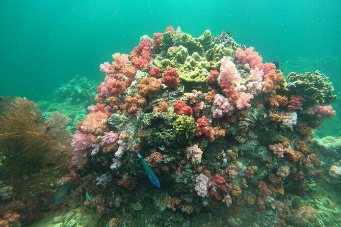 Lipe 8 Island Hopping and Snorkeling Shared Experience - Introduction to the Tour