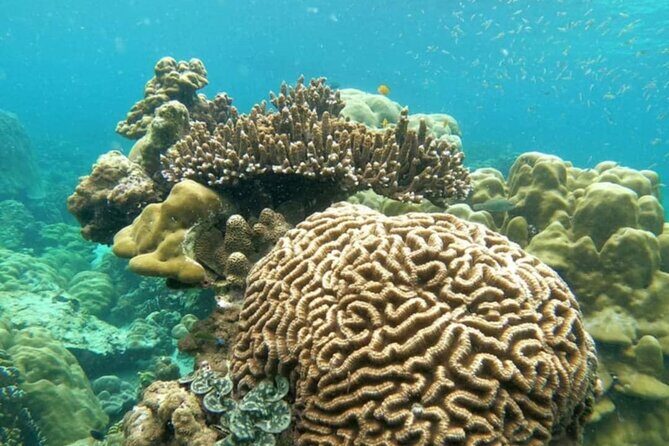 Lipe 8 Island Hopping and Snorkeling Shared Experience - Price and Value