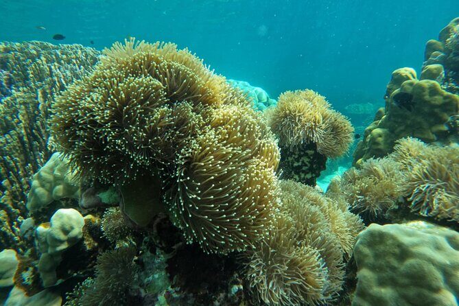 Lipe 8 Island Hopping and Snorkeling Shared Experience - Who Is This Tour Best For?