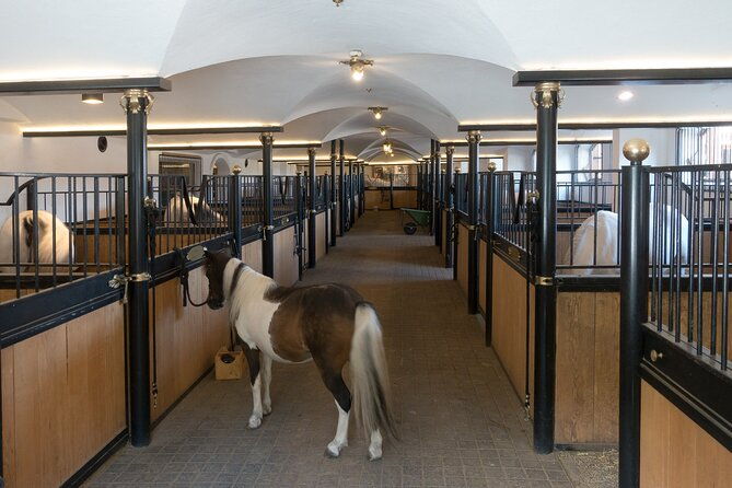 lipica-stud-farm-and-skocjan-caves-from-koper