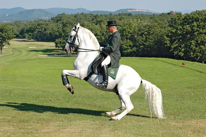 lipica-stud-farm-private-experience-from-koper