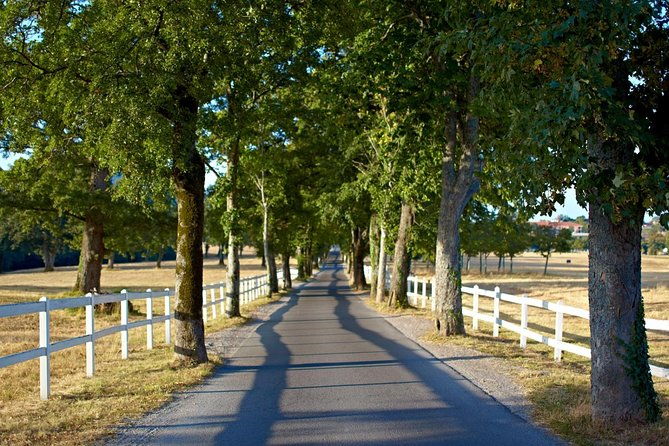 lipica-stud-farm-private-experience-from-koper